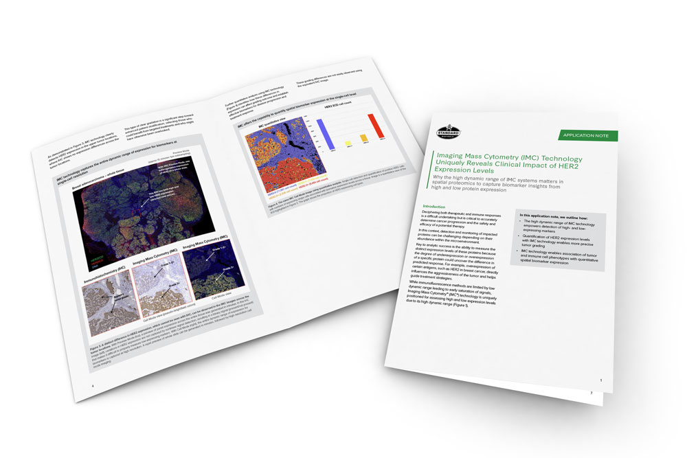 mockup of HER2 app note