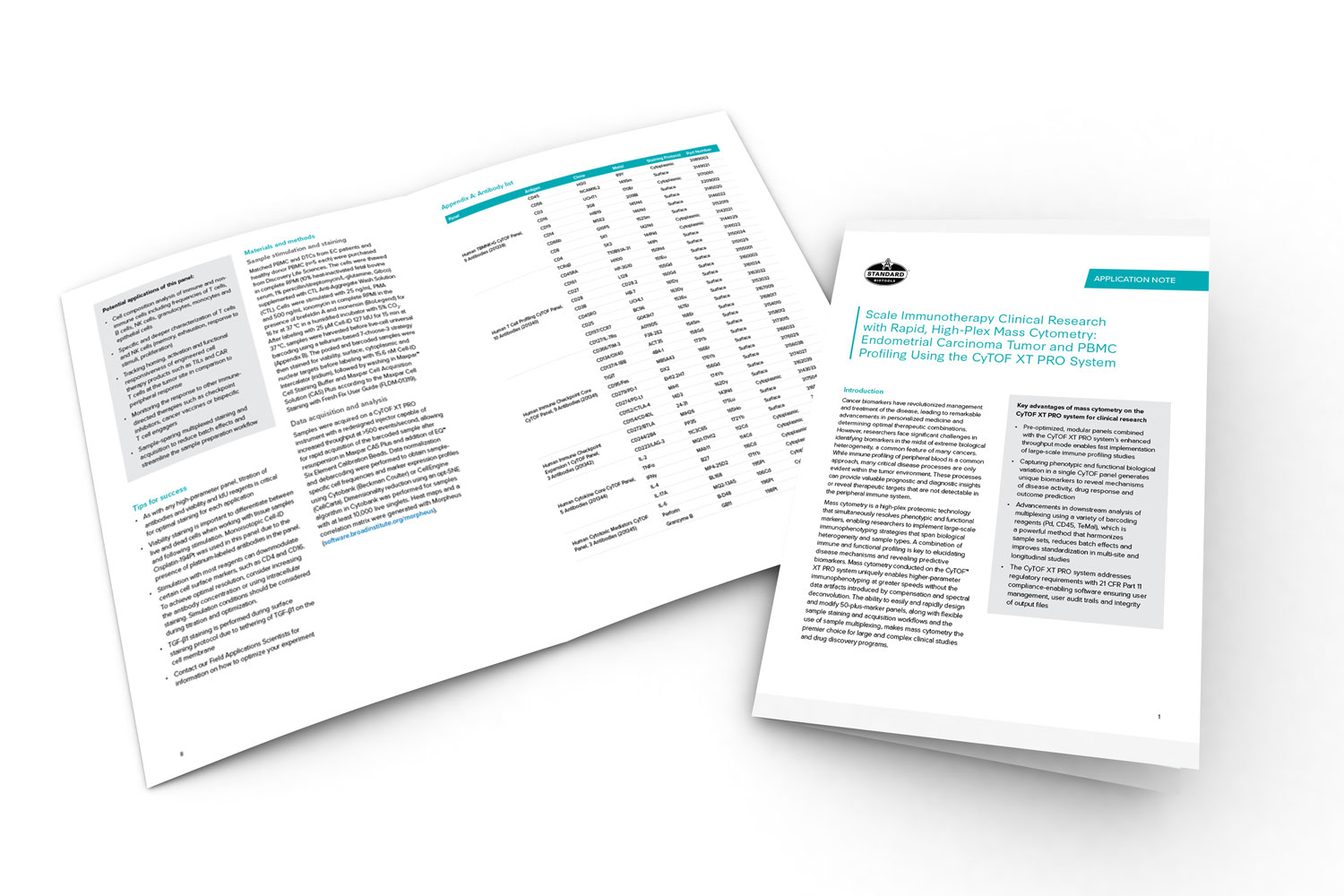 mockup of application note