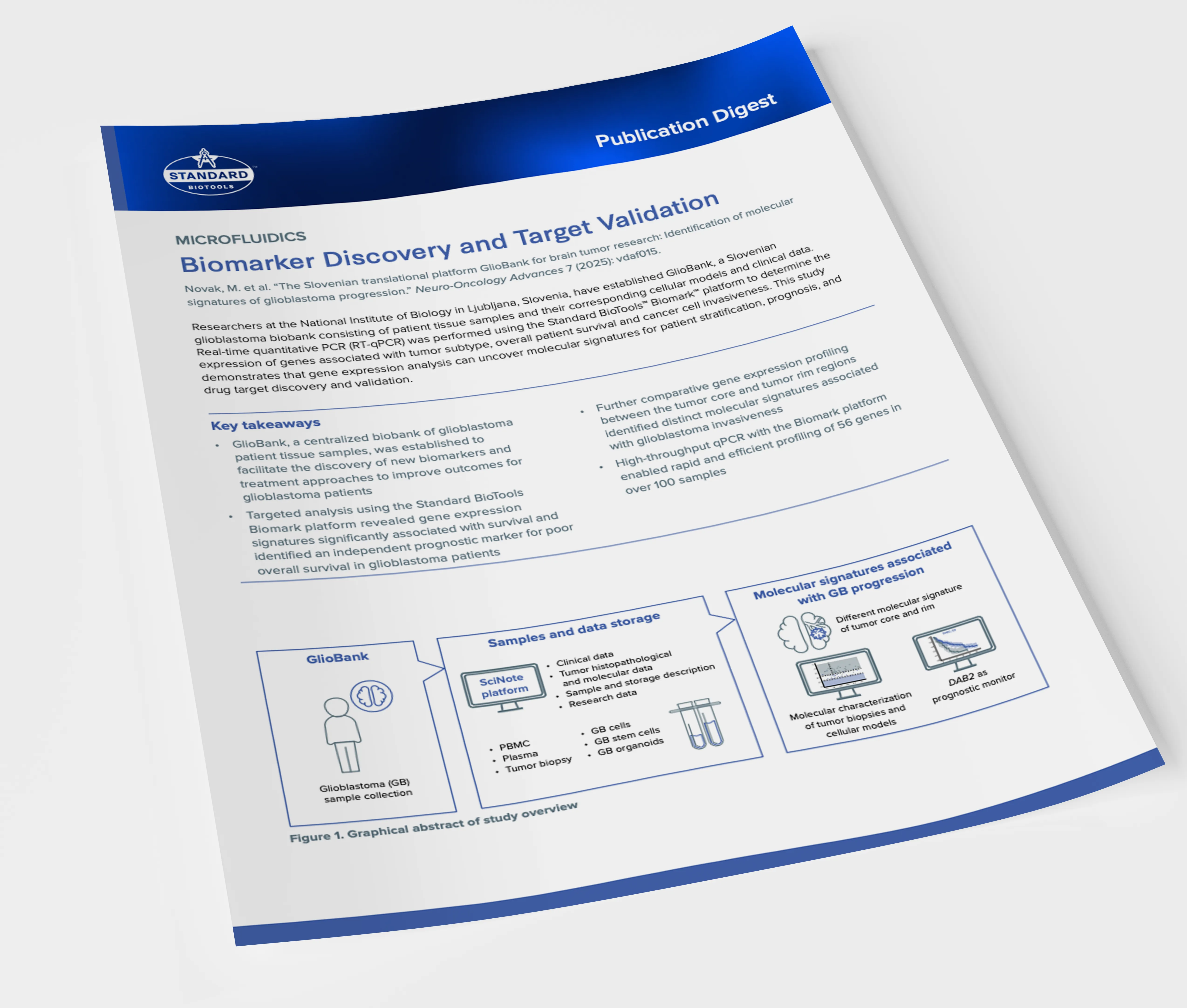 mockup of publication