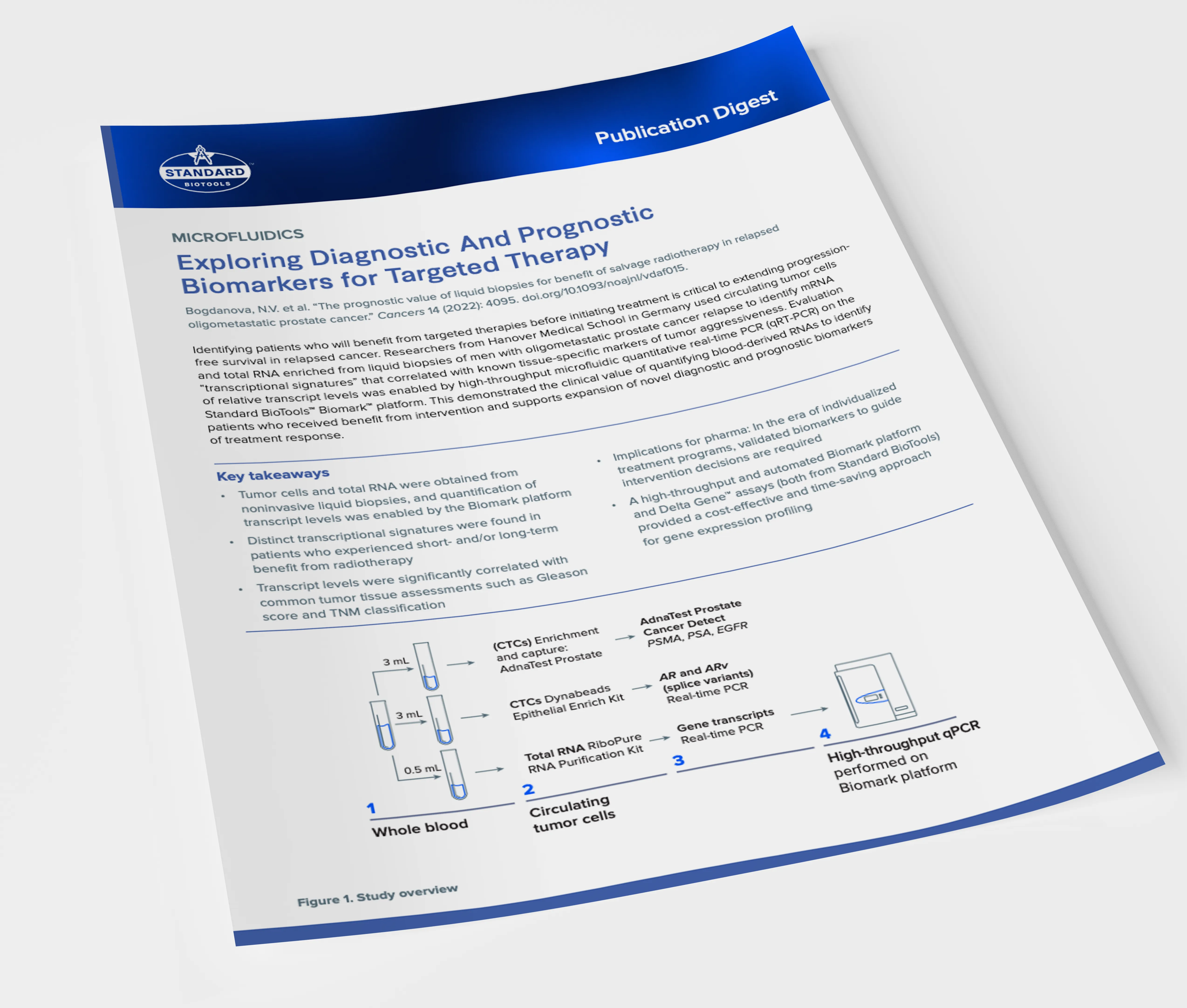 publication preview