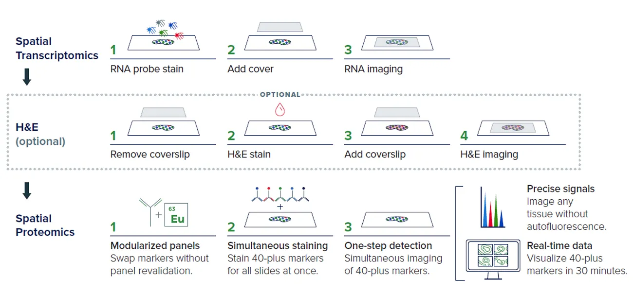 Integration of Hyperion XTi protein imaging on the same slide following RNA imaging
