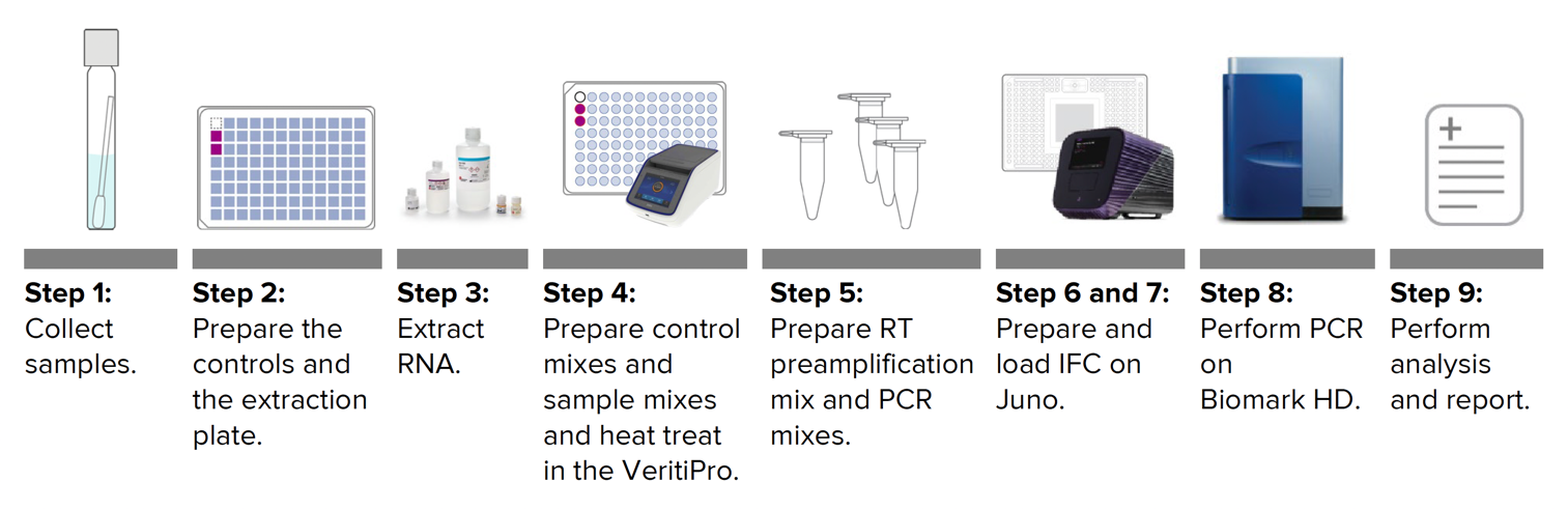 Workflow and Description of Test Steps