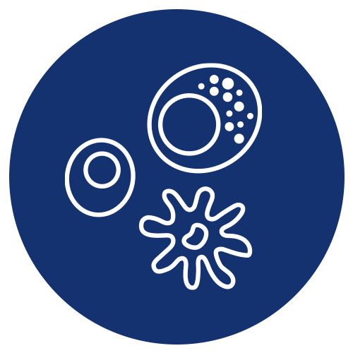 Category Generic Blue icon