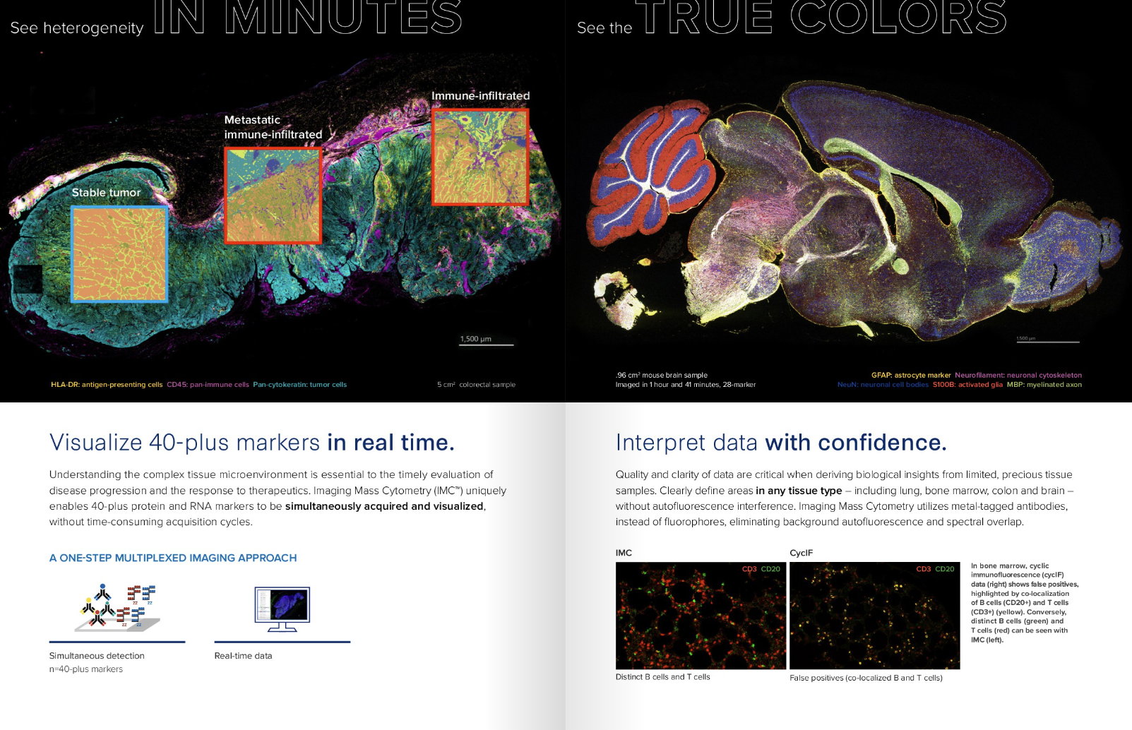 Hyperion XTi Flipbook from Standard BioTools