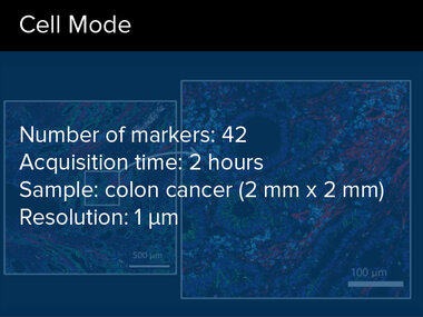 Cell Mode | Number of markers: 42, Acquisition time: 2 hours, Sample: colon cancer (2 mm x 2 mm), Resolution: 1 μm