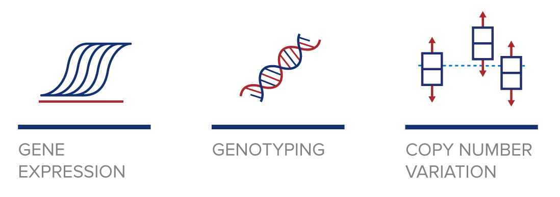 Gene Expression. Genotyping. Copy Number Variation.