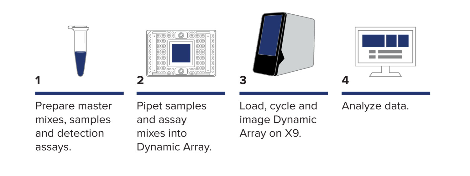 1: Prepare master mixes, samples and detection assays. 2: Pipet samples and assay mixes into Dynamic Array. 3: Load, cycle and image Dynamic Array on X9.  4:Analyze data.