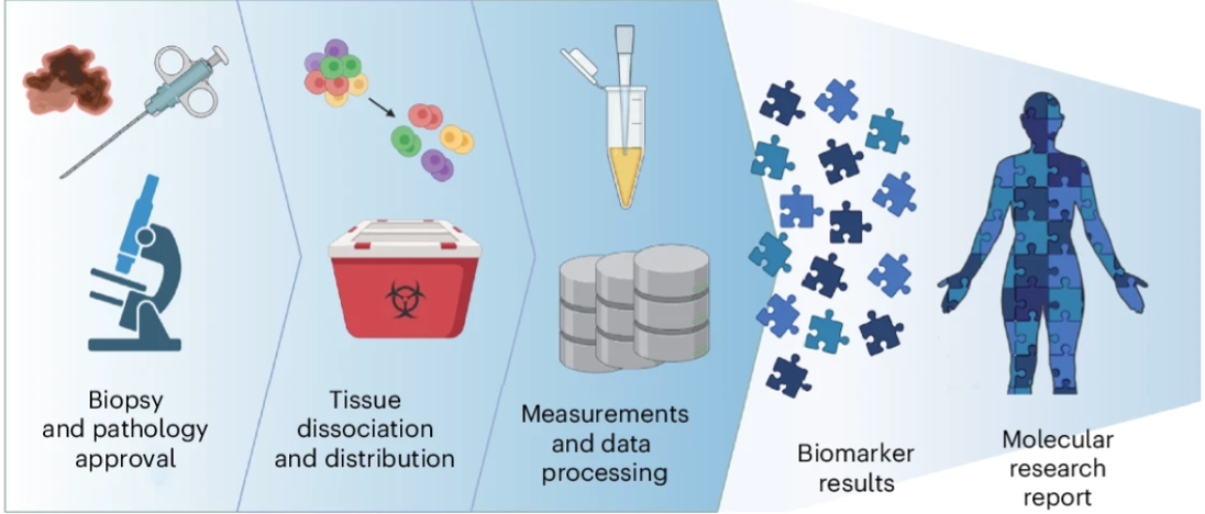 TuPro Biomarker Analysis Workflow