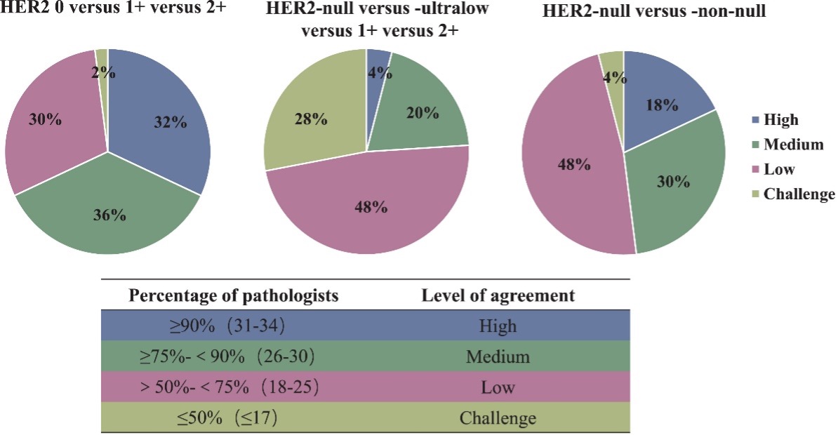 HER2 charts