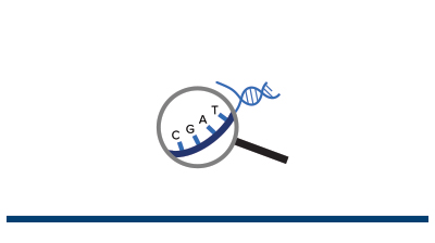 ACCESS ARRAY TARGET- SPECIFIC PRIMERS