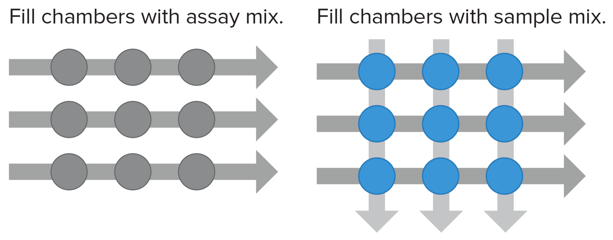 Design: Easy-to-configure complex panels mean fewer design iterations and more time saved. Our D3™ Assay Design Group can also assist you in creating custom assay panels.