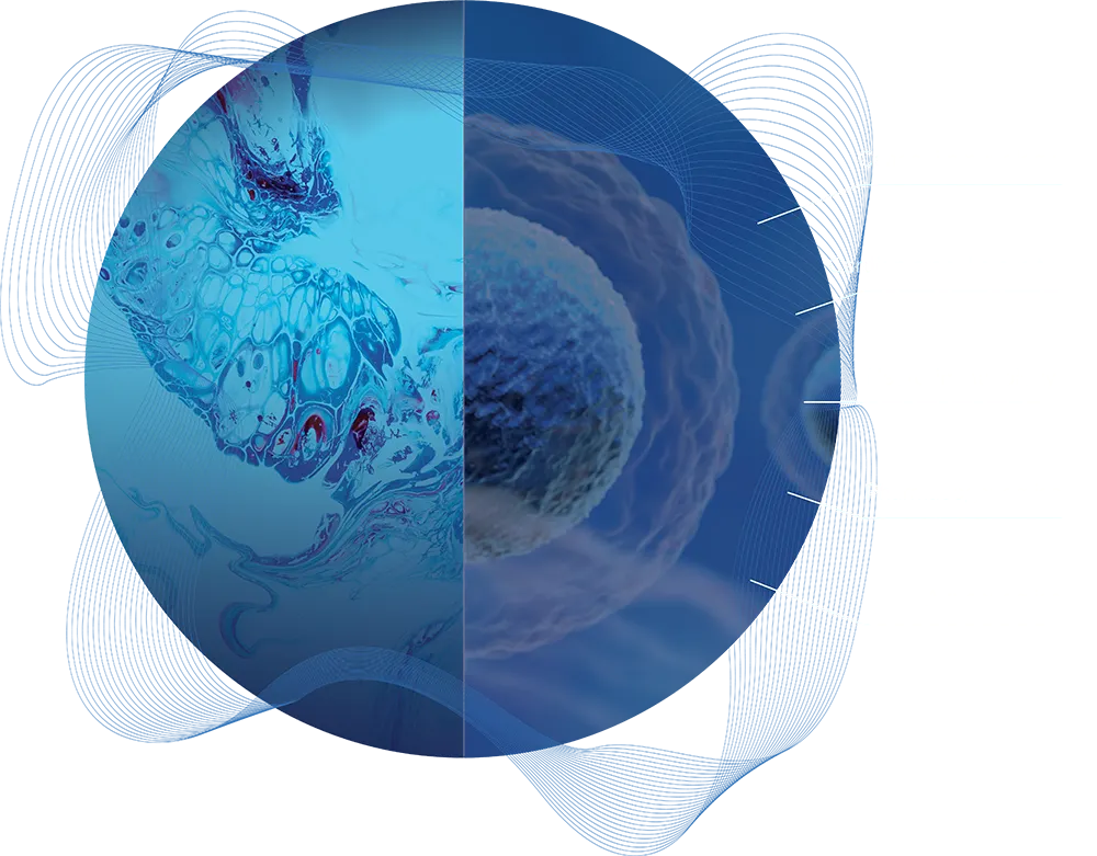 Abstract cell with Standard BioTools product callouts